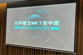 探索NFT本土化合规发展路径，星图比特联合树图研究院举办论坛图片