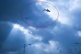 龙是否存在？揭秘“辽宁营口坠龙事件”真相图片