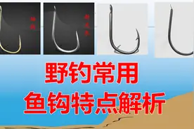 盘点野钓最常用的四种鱼钩，学会灵活运用，渔获增加很简单图片