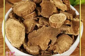 每天一味中药材～木香图片