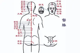 玫子科普：奇经八脉，督脉——人体元气的通道图片
