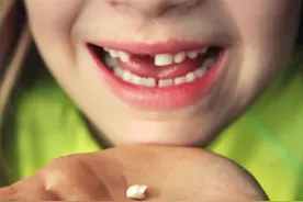 小孩乳牙掉了多久会长新牙？图片