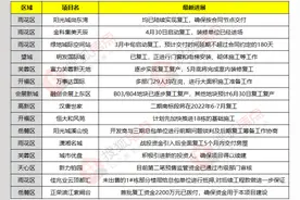 最新！长沙这些楼盘成功复工！还有多个“问题盘”有新进展图片