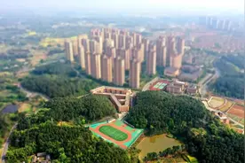 颜值实力并存！看这所“森林公园式学校”如何让教育“静”得纯粹图片