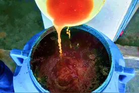 红糖酵母液真有用吗？看看发酵的果皮肥，方法用对了，一个月出肥图片