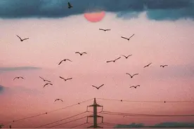 精神分裂症的常用药——阿立哌唑图片