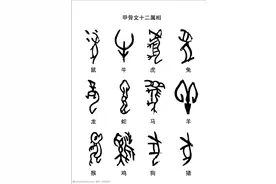 十二生肖中四对生肖最适合做夫妻图片