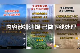 抖音开始精准“清粉”了 这些“安全”新功能多关注图片