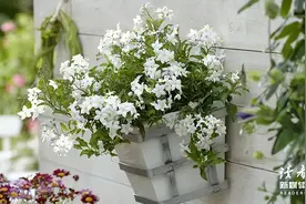 好好存钱，是成年人最大的体面图片