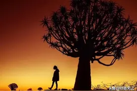 梦见去世的亲人，意味着什么？看完你就明白了！图片