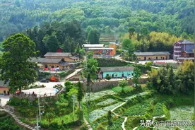 荆门市掇刀区团林铺镇产城融合带活一方经济图片