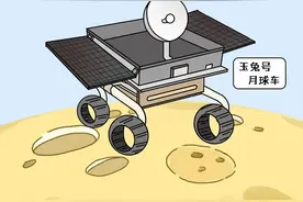 如果兔子会说话，这只的口头禅是：迈加瓦！图片