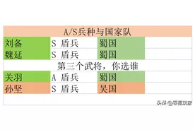 五谋臣带一个不常用的战法，专打司马懿、姜维、陆逊这样的武将图片