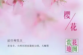 西安最全赏花地图，隔着屏幕都能闻着花香！图片