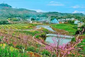 春有约，花不误！碚城春天最全赏花指南→图片