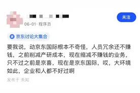 京东出海，刘强东的雄心还剩多少？图片