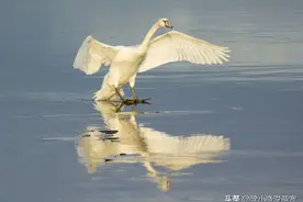 救命恩人，三年后仍然记得，动物也是有感情的~！图片