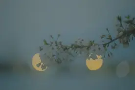 大诗人王维发现自己长白头发，写首小诗感慨，短短28字写进心里了图片