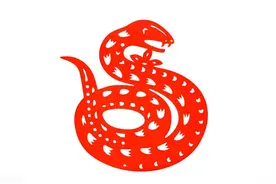 生肖蛇的五行五运分析，助你克服挑战，带你掌握幸福与自信！图片