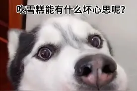 吃雪糕的季节来了！吃不胖的「低卡雪糕攻略」，减脂党必备图片