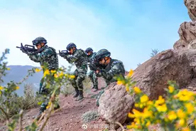 查收！山地反恐演练酷图图片