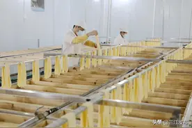 【我们的新时代】加工腐竹添富路图片