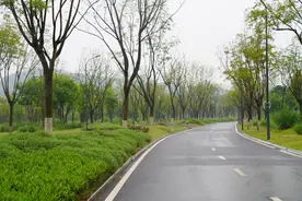 喜看沿江新变化 | 长江大保护调研行侧记图片