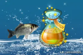 鲫鱼最喜欢的4种气味，钓鲫鱼的饵料按照这个味型配，非常好用图片