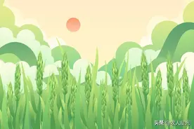 今日芒种节气，如果出现下雨天，究竟会有什么预兆呢？看农谚咋说图片