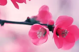 河南教龄21年老师的工资附言：很多老师没见过含有扣除的信息提示图片