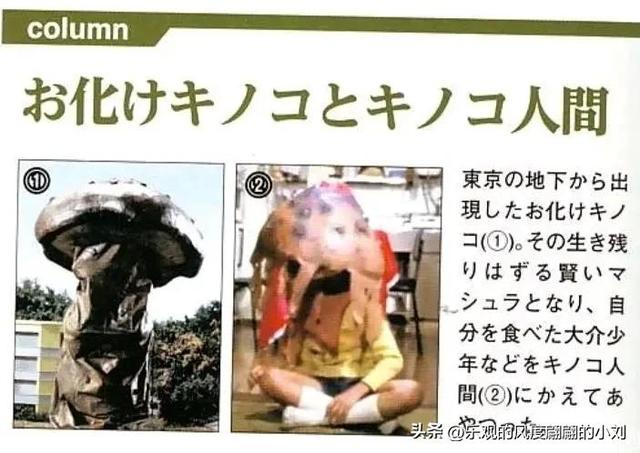 泰罗奥特曼怪兽图鉴大全