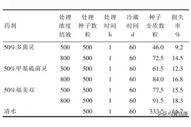 白玉兰种子储藏和育苗技术图片