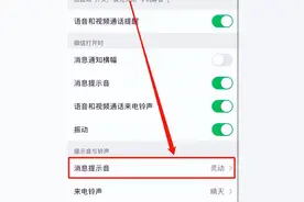 iPhone手机如何更改消息提示音图片