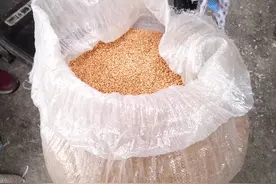 农村人很流行自己磨面吃图片