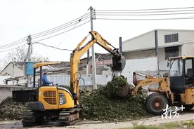 315调查|“腐菜”变“美味”？这家橄榄菜“行标”起草企业生产环境触目惊心图片