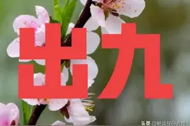 天气预报：明天是“出九”第一天，大风吹啥预兆？看看过去的谚语图片