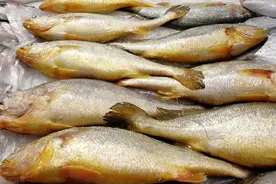 “低脂肉”排行榜，牛肉排第2，鸡肉排倒数第二，建议了解图片