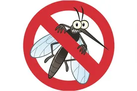 维生素b1可以驱蚊是真的假的？维生素b1可以喷身上吗？图片