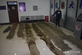 珲春森林公安破获非法猎捕收购野生蟾蜍系列案件图片