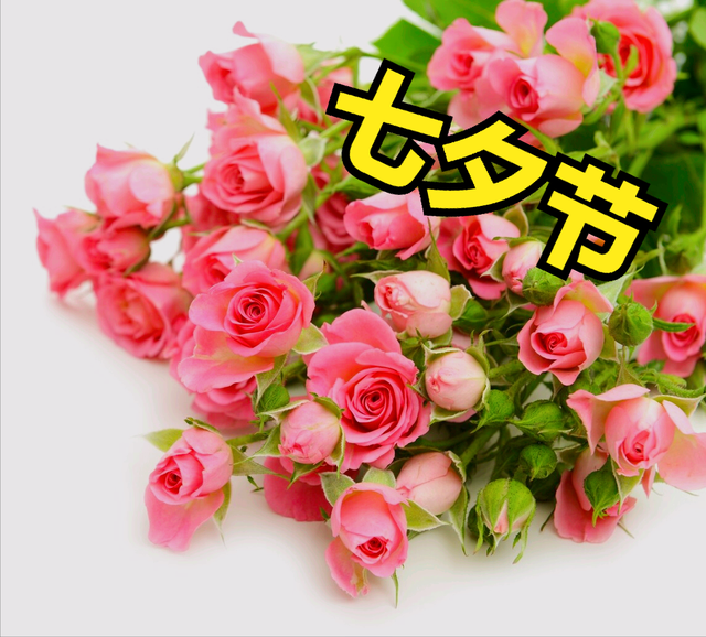 一花一祝福,七夕情人节,鲜花表爱意,五颜六色花,万紫千红情