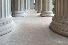 古代封建国家的人头税实质上就是免除奴隶身份的“恩典钱”图片