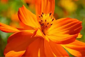 有一种幸福，叫每天都有好心情图片