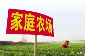 家庭农场、合作社、农业公司啥区别？申请补贴各有哪些优势？图片