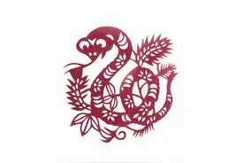 你身边的1989年，己巳蛇年图片