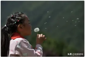 过去一周内，这个微博超话吸引了数千人来"拼书"图片