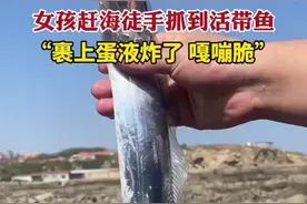 女孩儿赶海徒手抓到活带鱼，“裹上蛋液炸了，嘎嘣脆！”图片