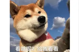 人人都能玩，让MMO更像MMO？来盘一下即将在Q2上线的韩国游戏图片