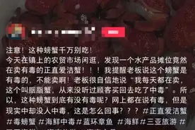 蓝环章鱼后又现毒螃蟹 正直爱洁蟹听说过没？体内会累计毒素图片
