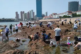 6大赶海“战利品”，海边旅游必备！赶快收藏，附5天潮汐时间图片