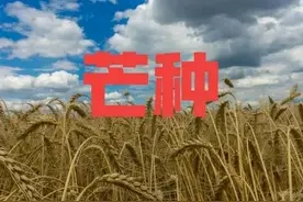 天气预报：明日芒种，刮大风有啥说法？看看老祖宗怎么说图片